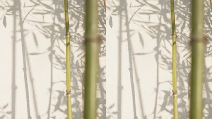 传统中国风水墨意境竹子和影子在墙上