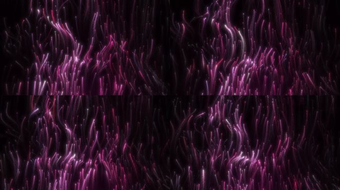 紫红色粒子细丝游动