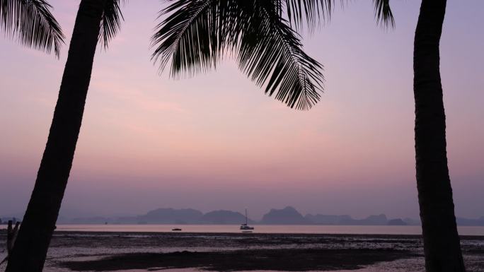 在日出时能看到海滩和大海的椰子树的时间流逝