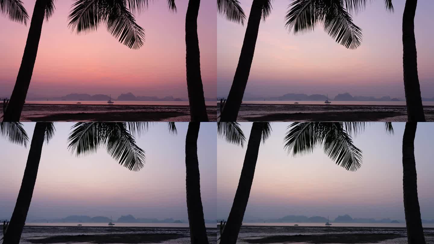 在日出时能看到海滩和大海的椰子树的时间流逝