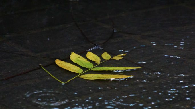 城市马路道路下雨天雨水雨滴大自然风景风光