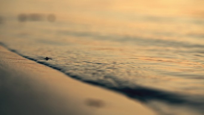 岸边潮水-夕阳沙滩金色水浪拍打