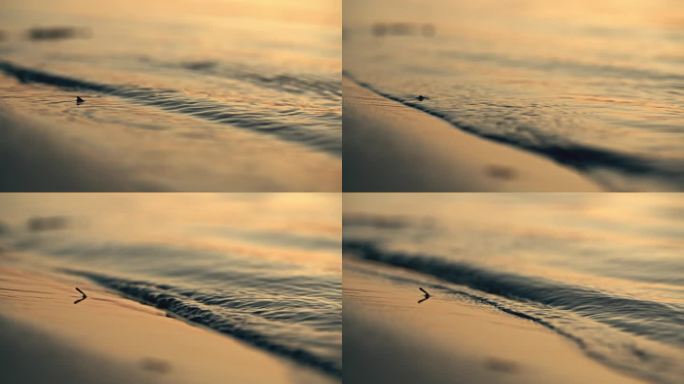 岸边潮水-夕阳沙滩金色水浪拍打