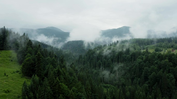 多雾的晨雾笼罩着山林.
