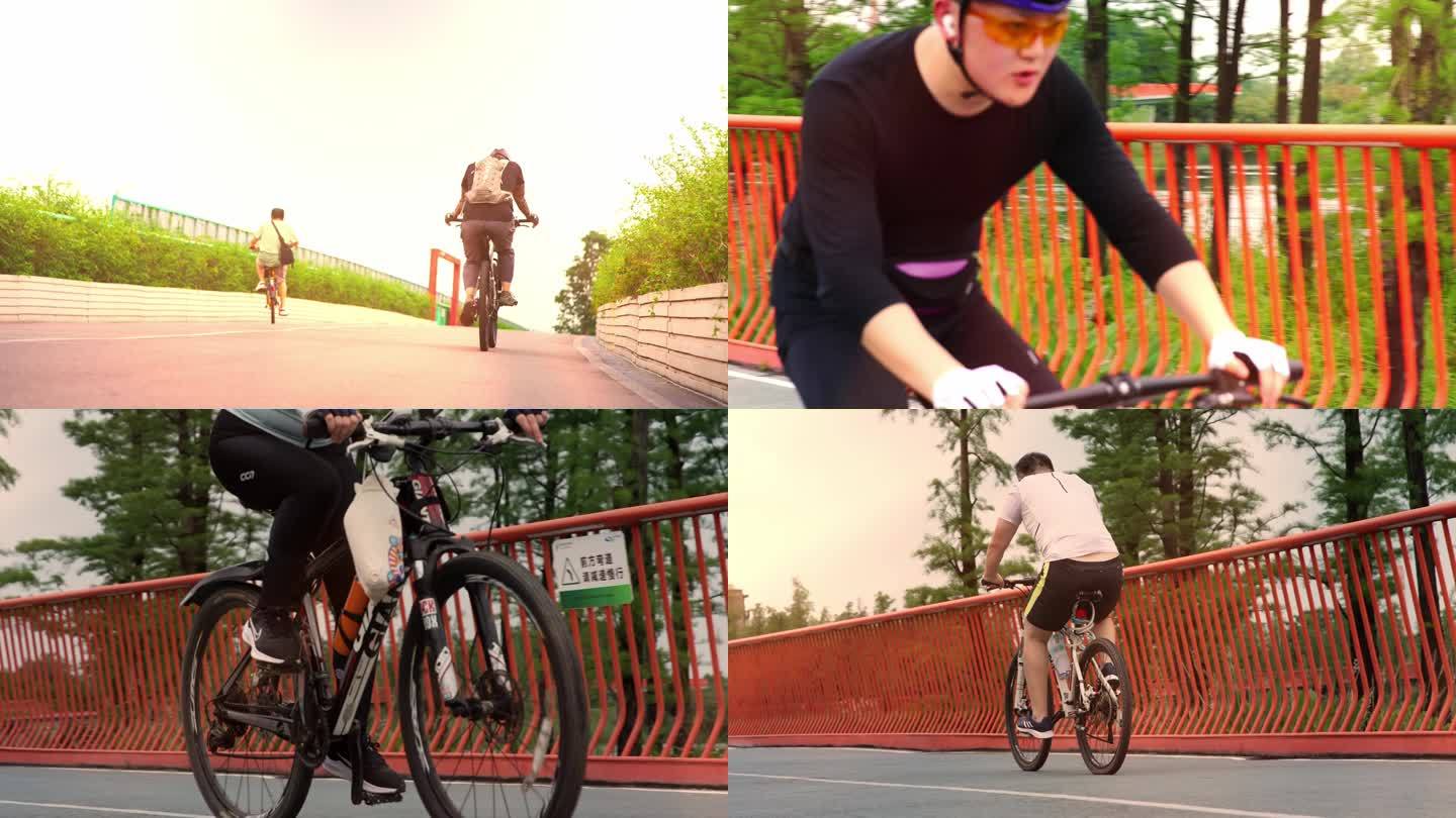 骑行骑车绿道运动锻炼自行车公园城市升格