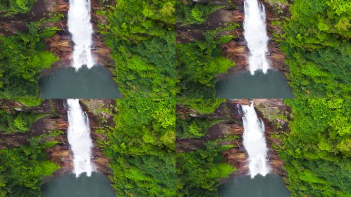 俯瞰热带丛林中的瀑布，那里有绿色的植物和树木。加特莫尔瀑布，斯里兰卡。