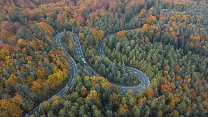 空中看汽车在五彩斑斓的山路上穿过落叶林