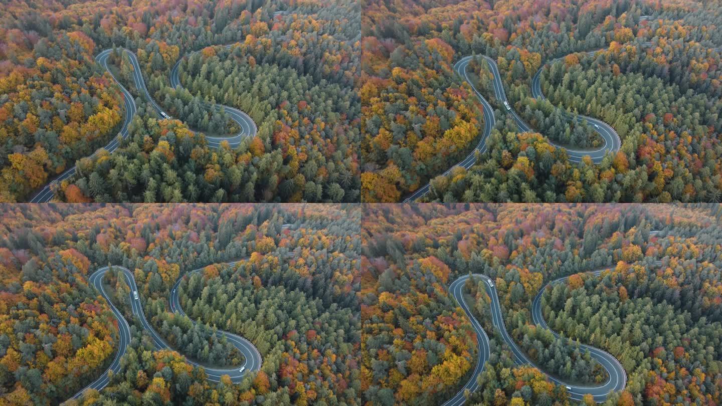 空中看汽车在五彩斑斓的山路上穿过落叶林