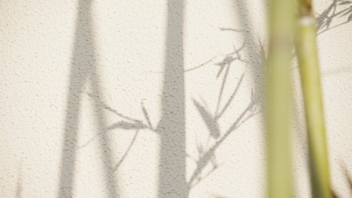 传统中国风水墨意境竹子和影子在墙上