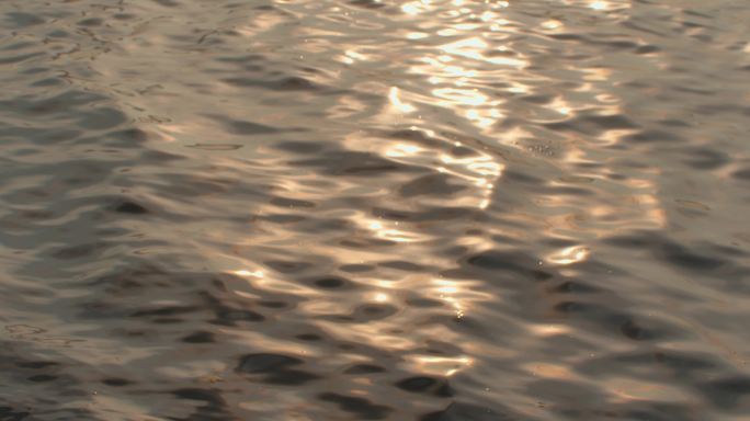 阳光金色水面光影波光