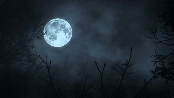 月亮月光。月亮的夜空。神秘幽灵般可怕。树树剪影的影子。自然背景