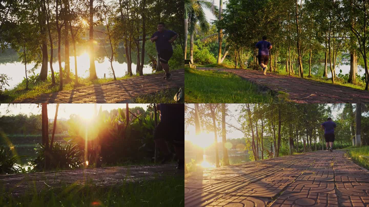 夕阳下一个肥胖男子在公园跑步运动减肥