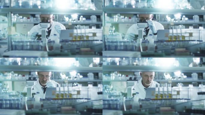 男性的资深科学家是集中用在实验室显微镜工作时。