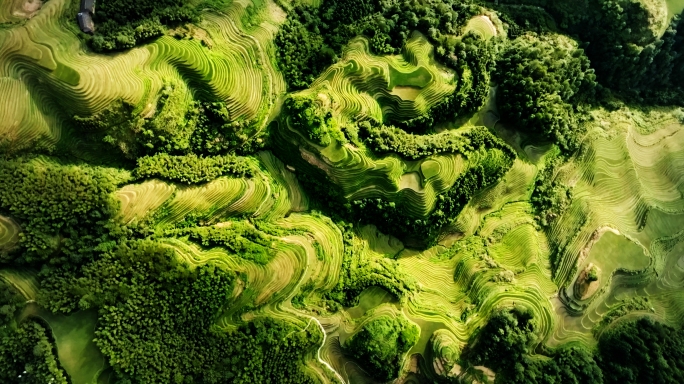 龙脊梯田乡村贵州旅游旅行乡村