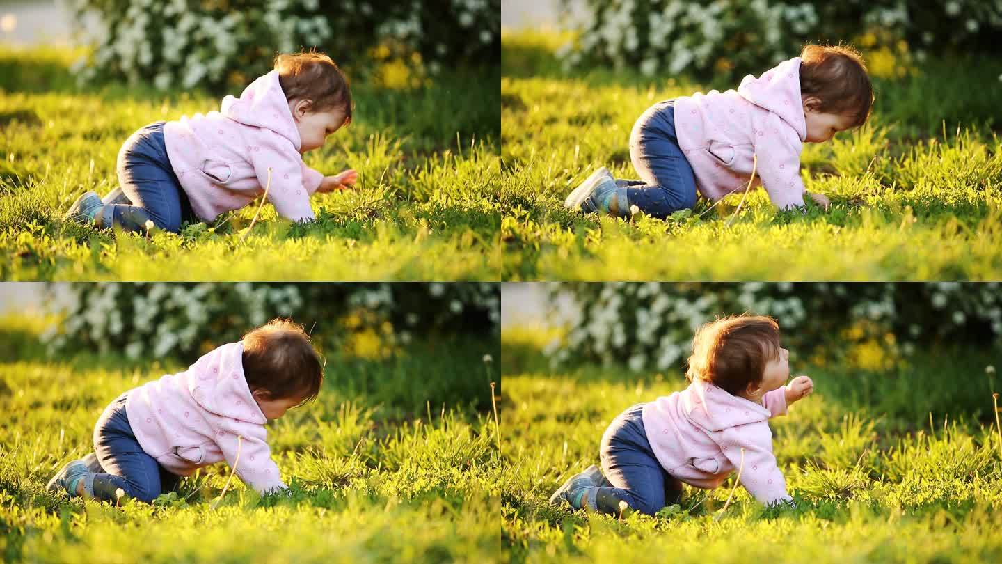 学习在日落时在公园的绿色草地上爬行的小可爱宝贝.