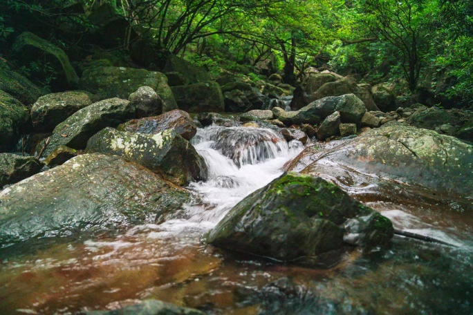 原始生态 峡谷河流丝滑延时