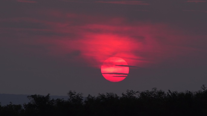 红色圆盘太阳下山后日落的云彩和树，延时
