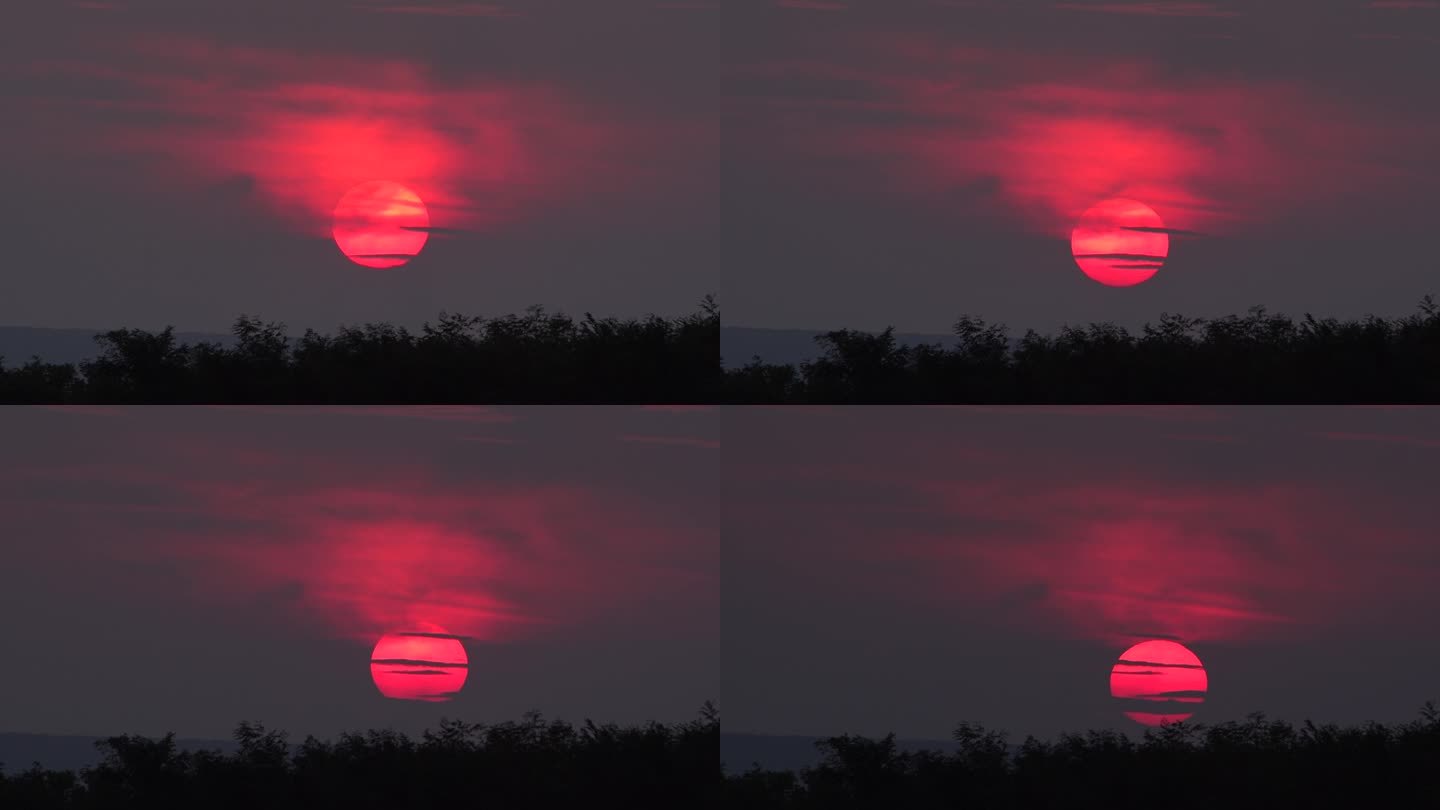 红色圆盘太阳下山后日落的云彩和树，延时