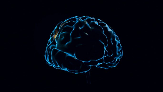 人类的大脑与神经元冲动。旋转。可循环。蓝色。黑色和白色。科学。在我的投资组合更多选择。
