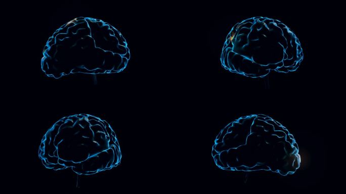 人类的大脑与神经元冲动。旋转。可循环。蓝色。黑色和白色。科学。在我的投资组合更多选择。