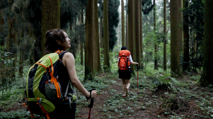 徒步 旅游 户外探险 穿越竹林 天然美景