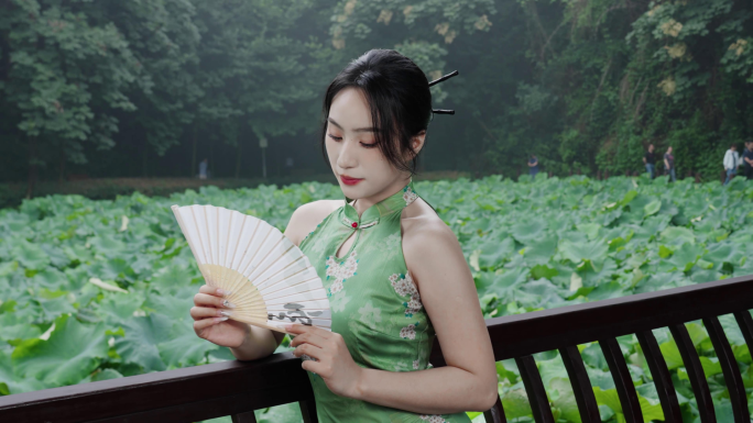 江南水乡的荷花美女在荷花池游玩