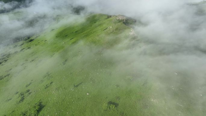 航拍青山森林云雾缭绕