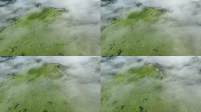 航拍青山森林云雾缭绕