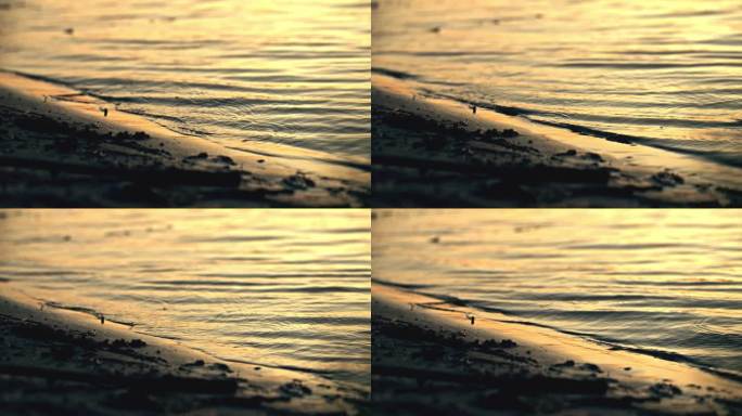 金色水浪拍打夕阳沙滩岸边潮水
