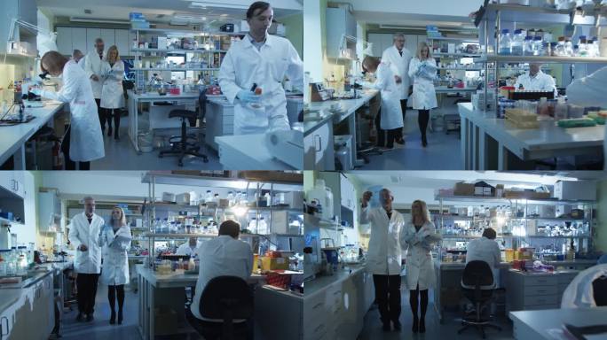 高级女科学家与论文走路和谈话在一个实验室。
