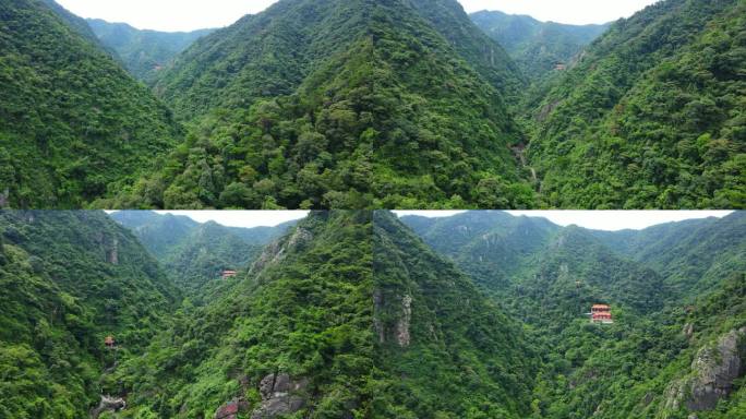 森林  深山藏古寺