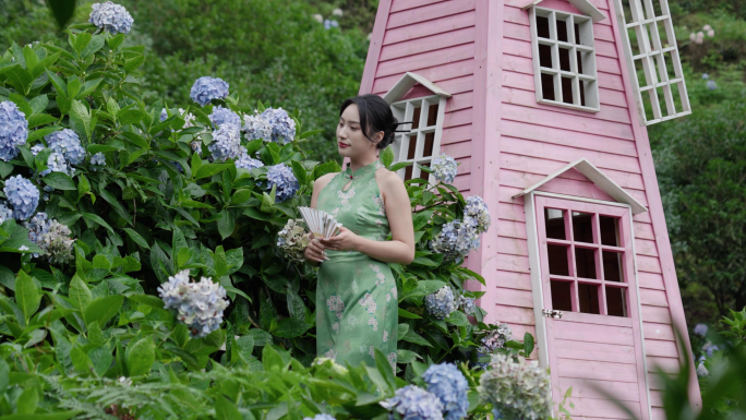 旗袍美女在观赏绣球花花卉植物风景