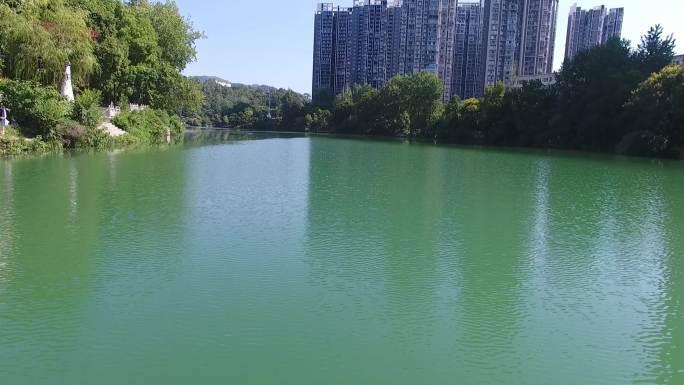 干净水  河流  绿水青山  水资源