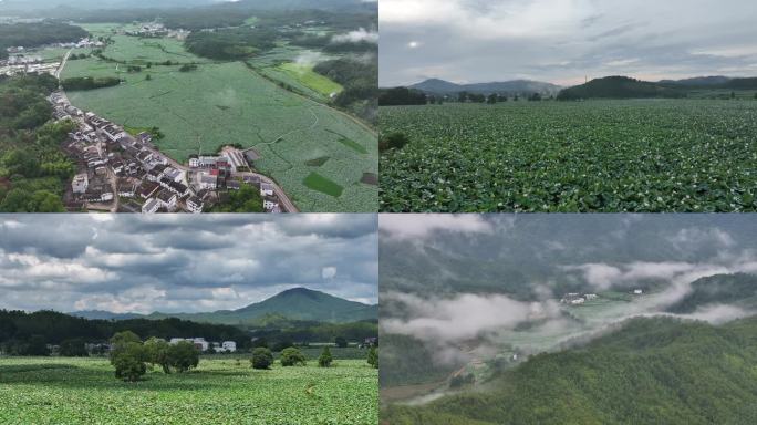 广昌莲花池航拍