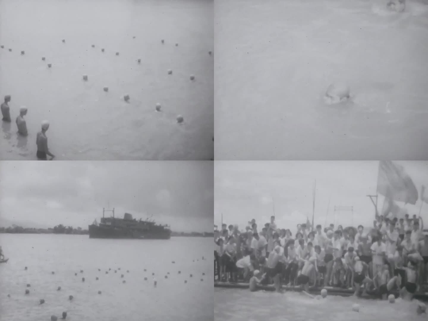 珠江游泳比赛 50年代60年代