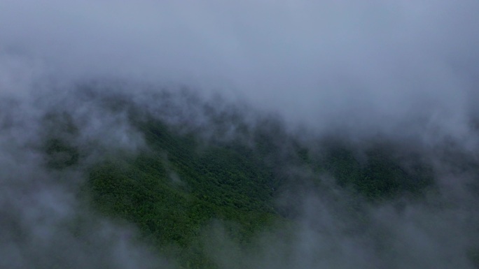 云海 山 雾气 森林 大自然 云雾 水墨