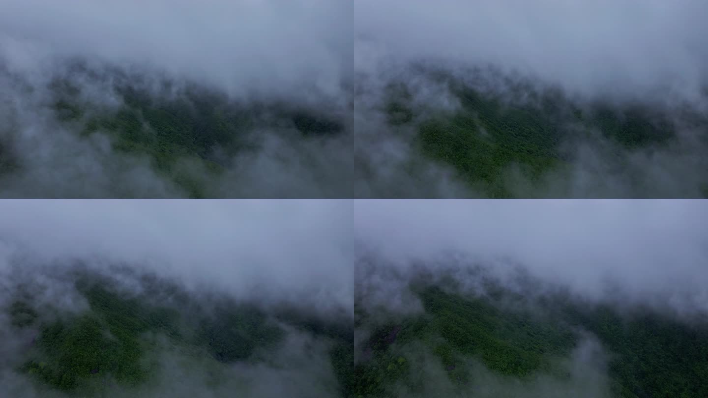 云海 山 雾气 森林 大自然 云雾 水墨