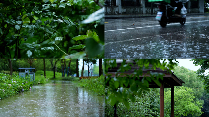 下雨天马路公园雨景