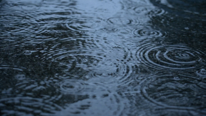 下雨天马路公园雨景