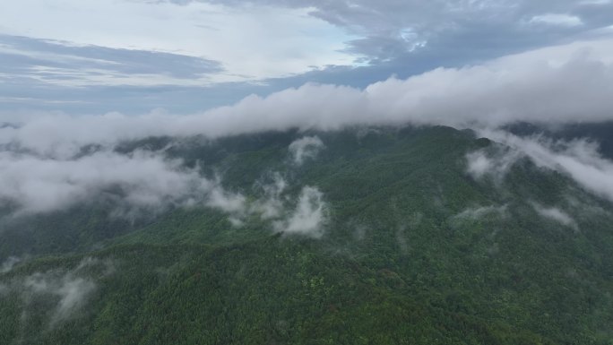 山间云雾