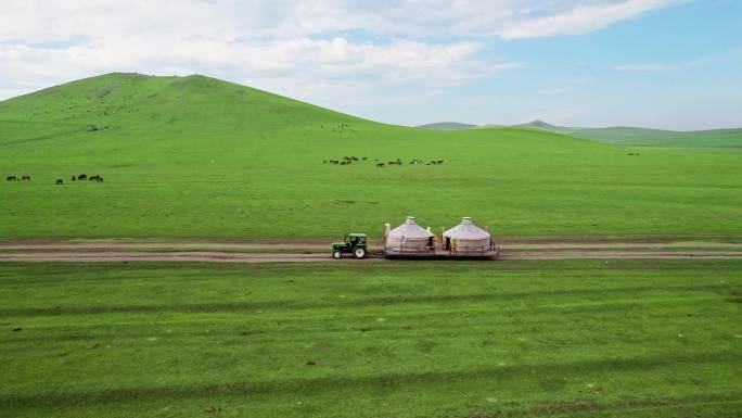 内蒙古大草原黑山头蒙古包营地马群牛群