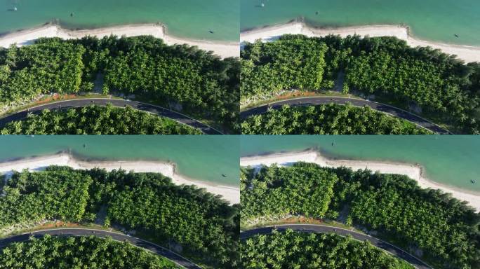 海边的森林公路