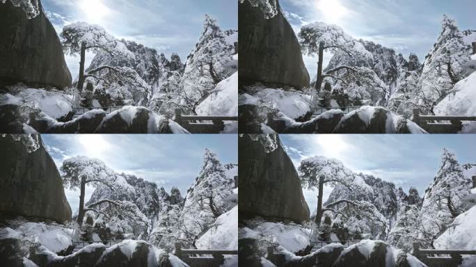 4K黄山迎客松雪景