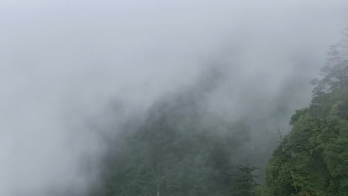 航拍高山云雾