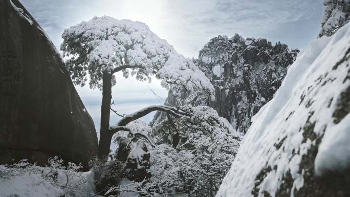 4K黄山迎客松雪景