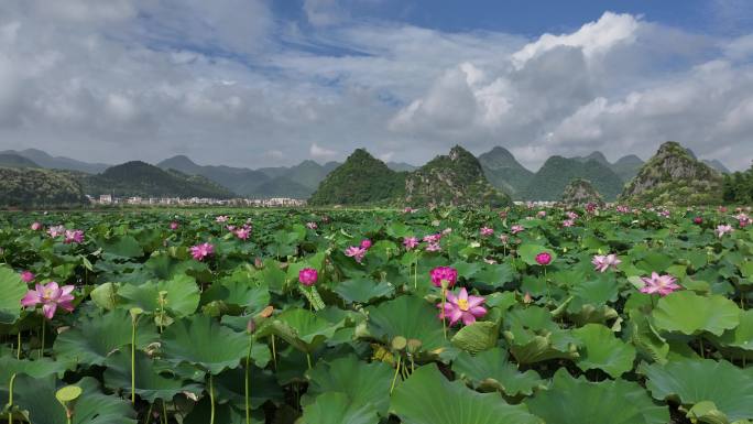 普者黑旅游景区航拍蓝天白云