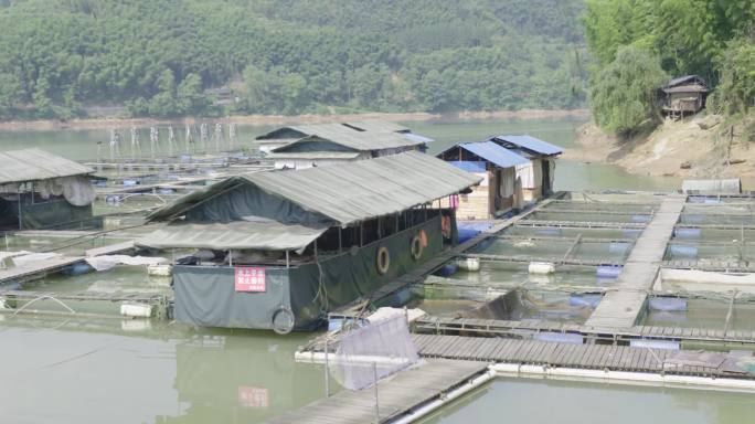 湘华鲮基地