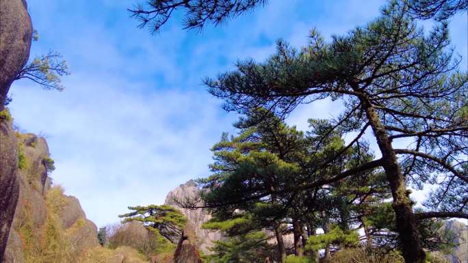 安徽黄山风景区云海延时美景唯美大自然风景