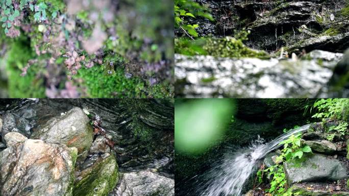 溪流岩石水滴苔藓