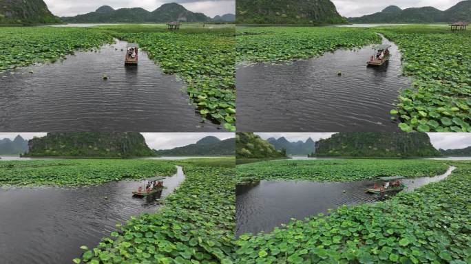 普者黑旅游景区航拍荷花塘